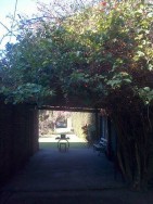 Pueblo Esther Primavera