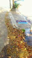El Chino 7